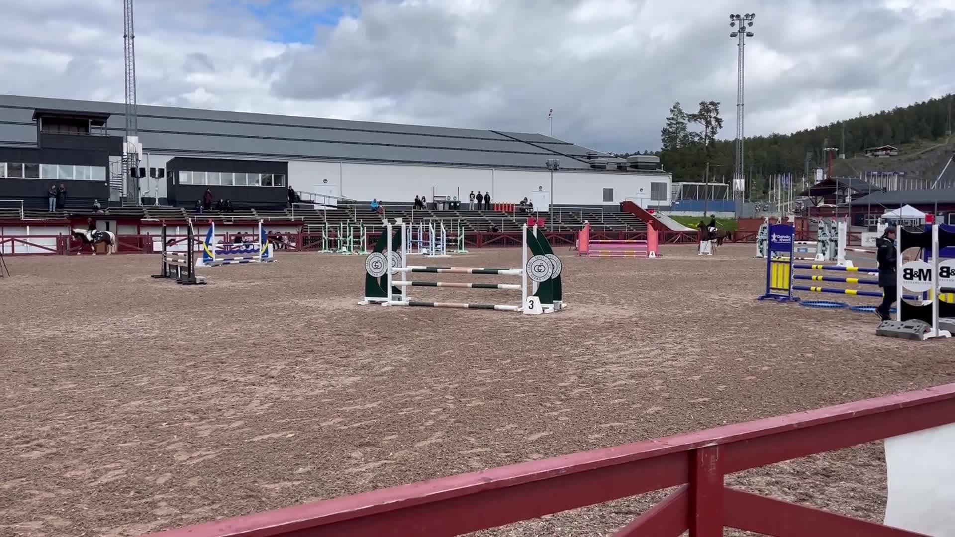 Hoppning hästar till salu: Välutbildad maxad C-Ponny  - Video 4