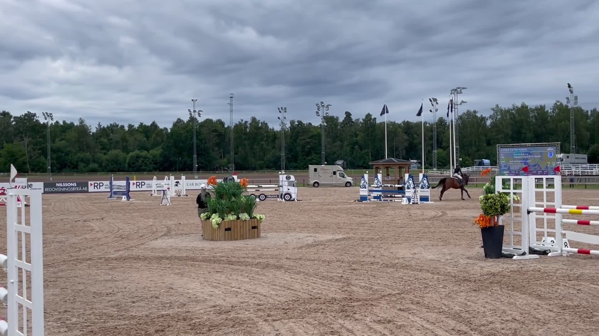 Hoppning hästar till salu: Fantastiskt snäll allroundhäst - Video 2