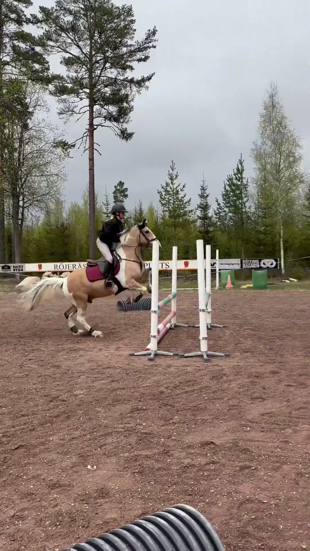 Hoppning hästar till salu: Snäll c-ponny söker nytt hem💞 i Vikarbyn - Video 3