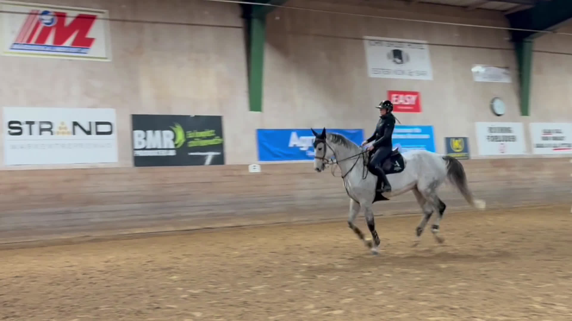 Hoppning hästar till salu: Storhoppande 9 årig valack e. Diarado  i Bodafors - Video 1