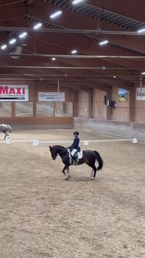 Allround hästar till salu: Världens finaste allround ponny till salu🤩 i Hudiksvall - Video 2