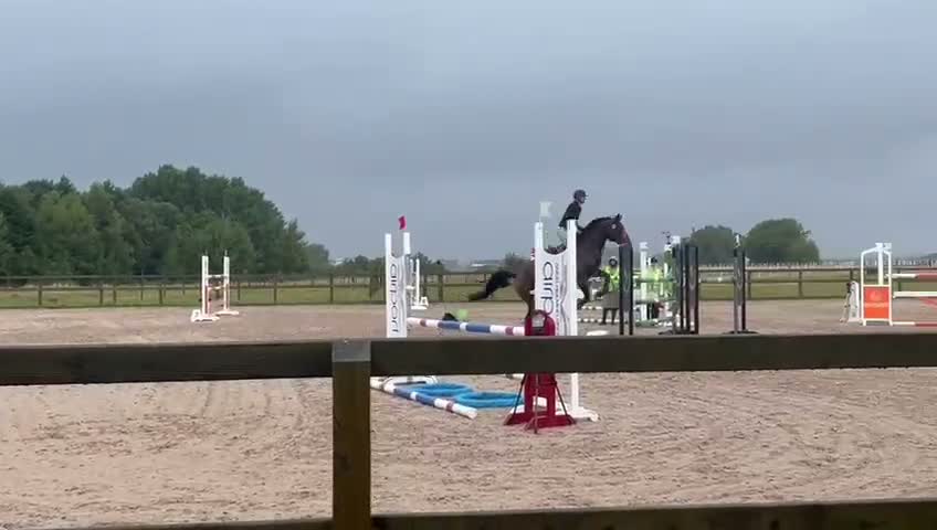 Hoppning hästar till salu: En häst för framtiden i Ängelholm - Video 1