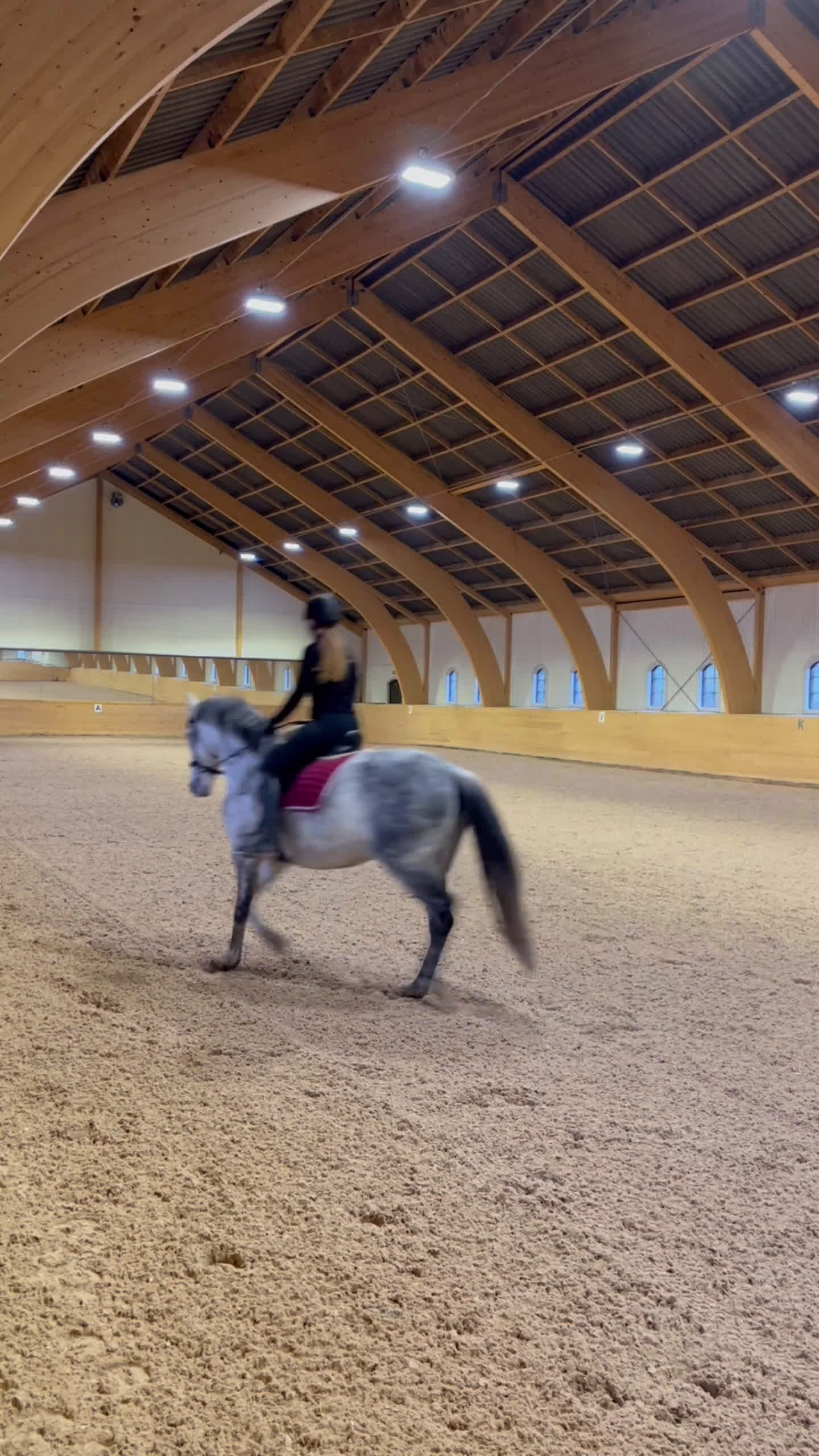 Dressyr hästar till salu: *nytt pris* väluppfostrat sto med energi i Nyköping - Video 5