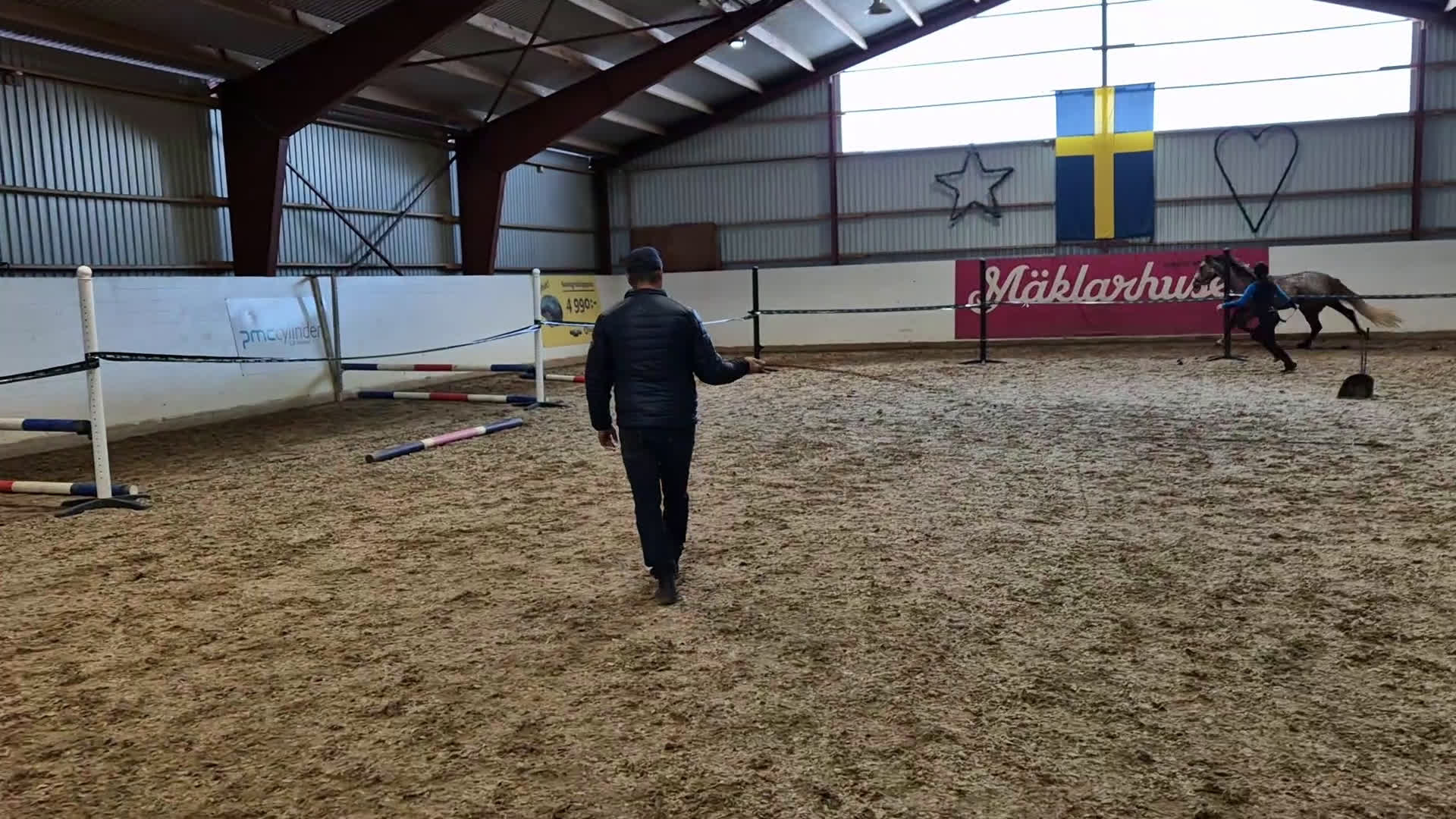 Allround hästar till salu: 3 årigt sto  i Landsbro - Video 2