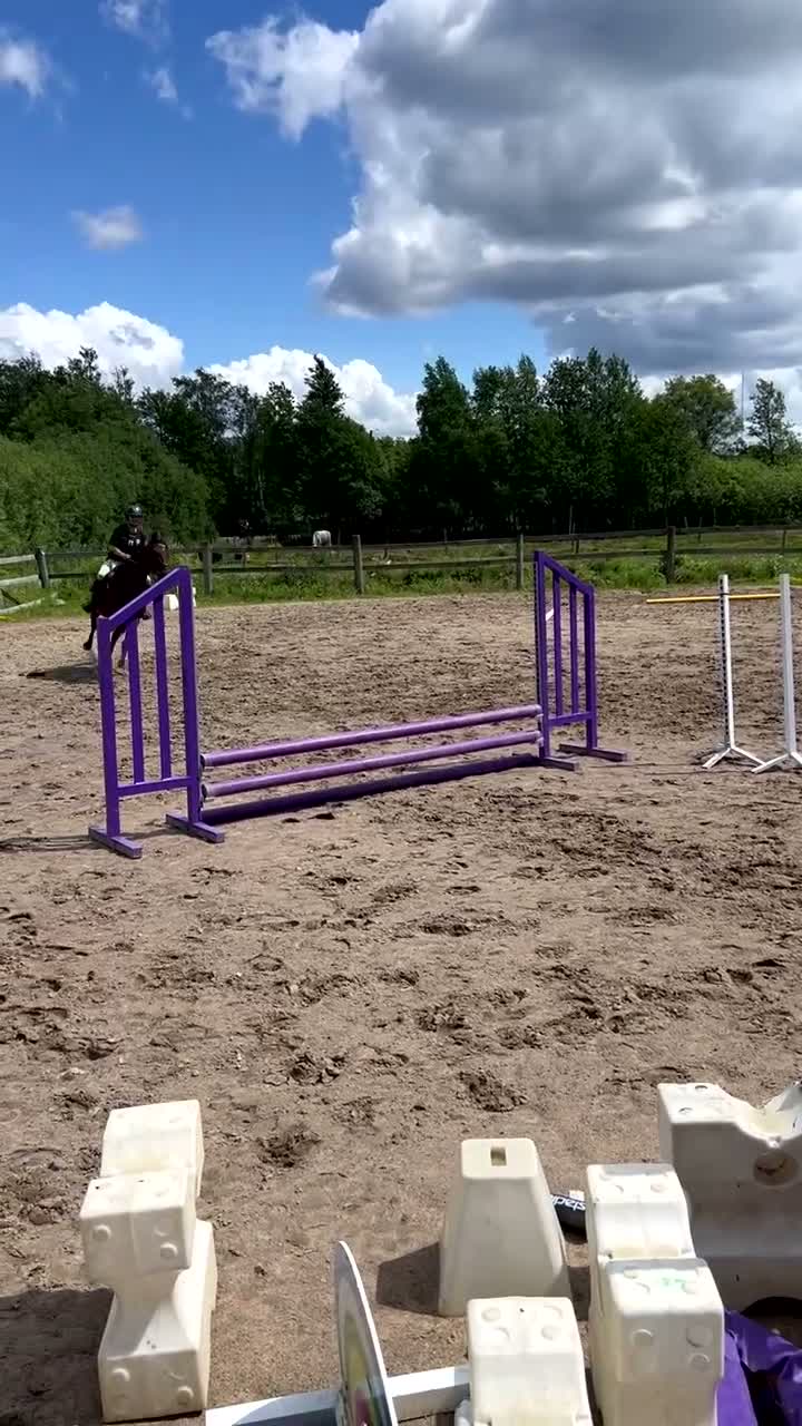 Allround hästar till salu: Härlig travare  - Video 2