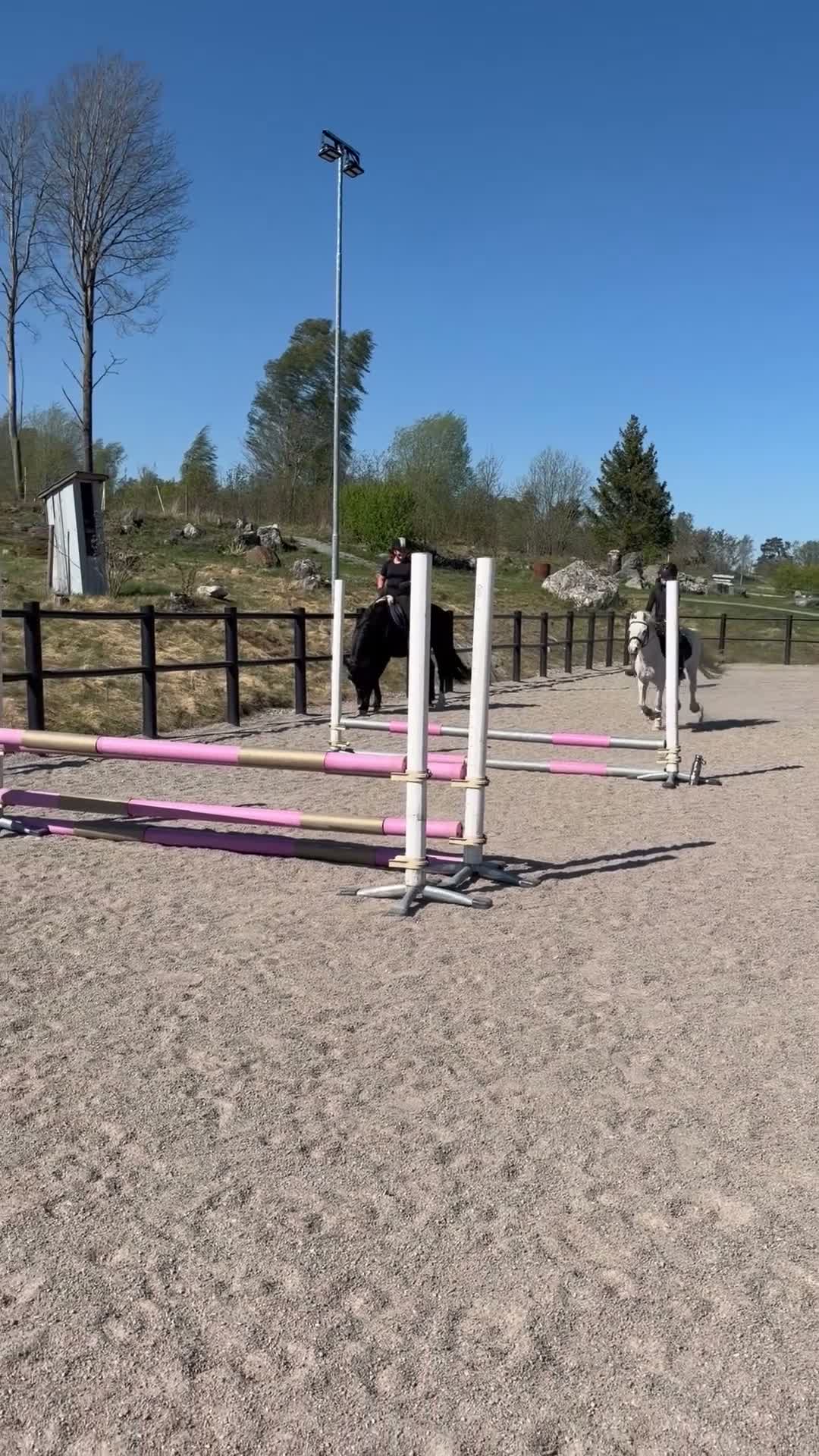 Allround hästar till salu: Trygg allroundponny i Enköping - Video 4