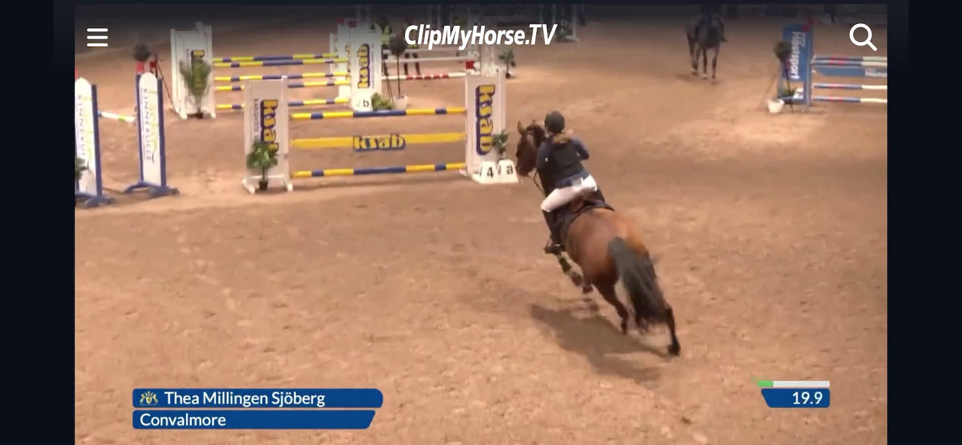 Hoppning hästar till salu: Ett kraftpaket med stor potential - Video 5