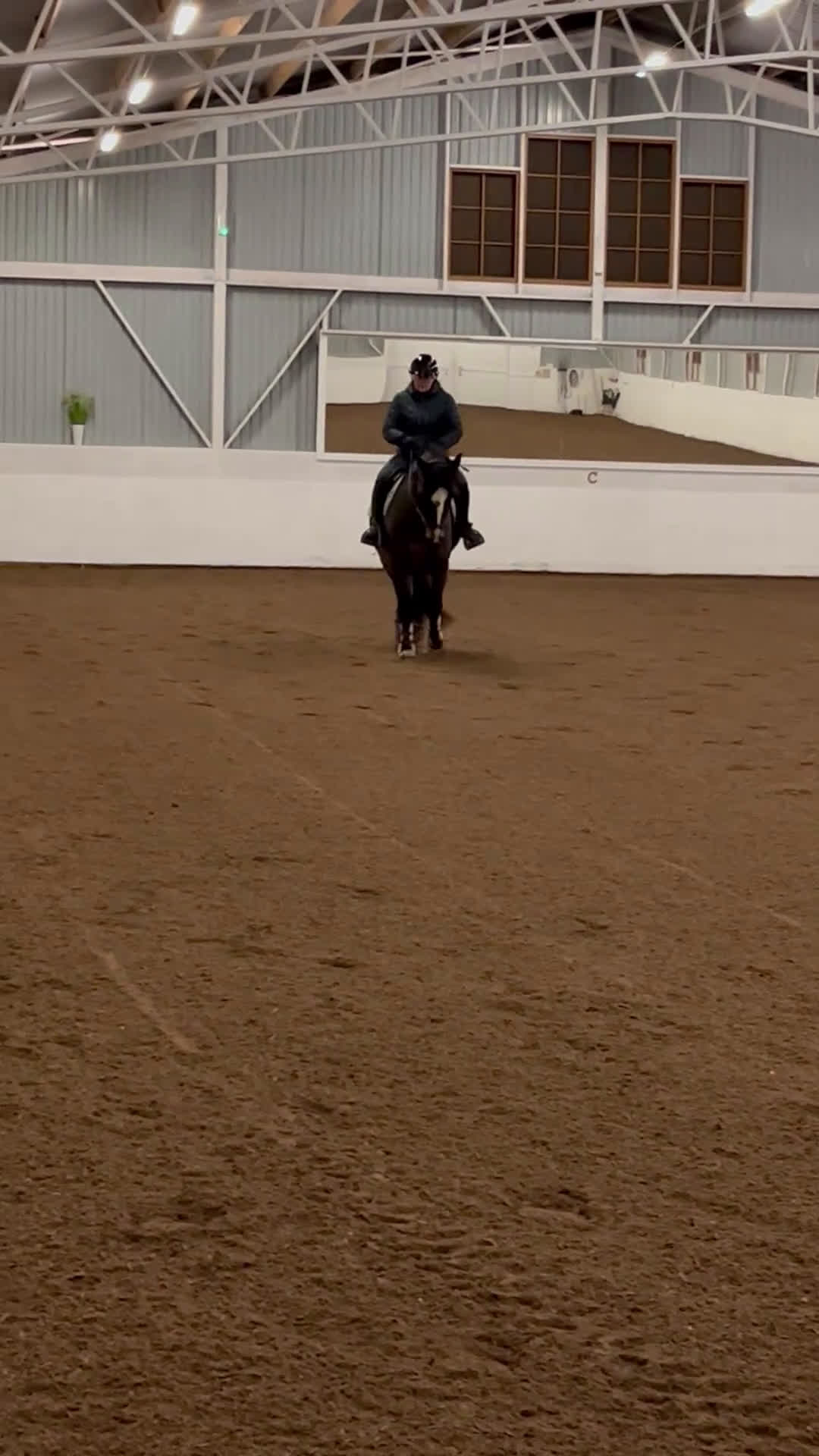 Allround hästar till salu: Fint D-ponnysto - Video 1