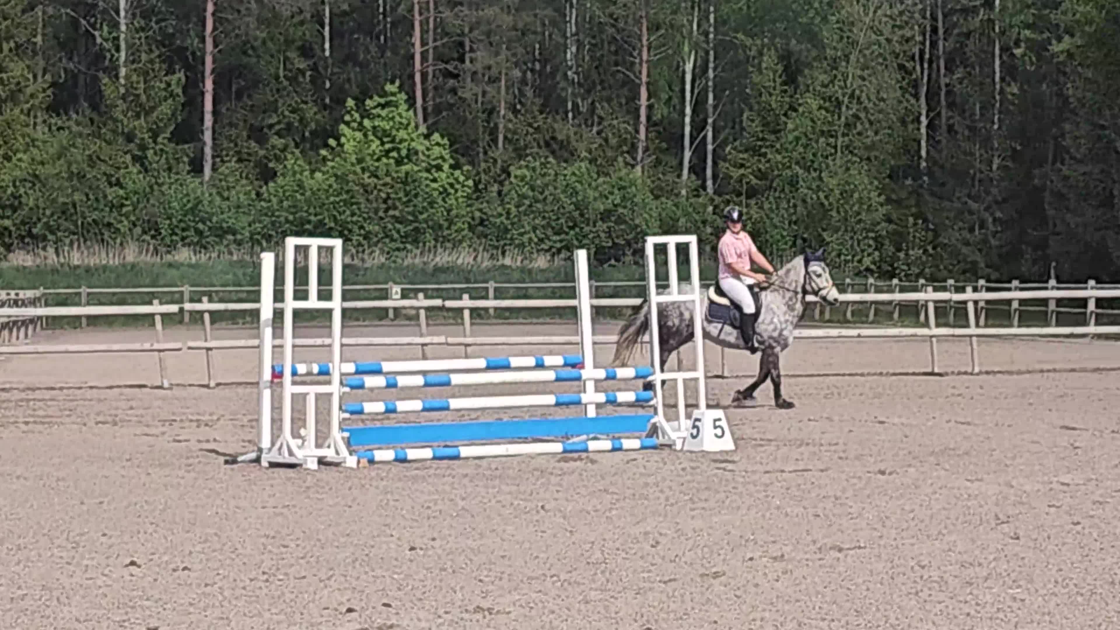 Allround hästar till salu: Sportponny - Video 1