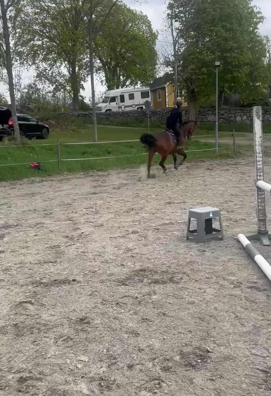 Hoppning hästar till salu: Fin 5 femåring  - Video 1
