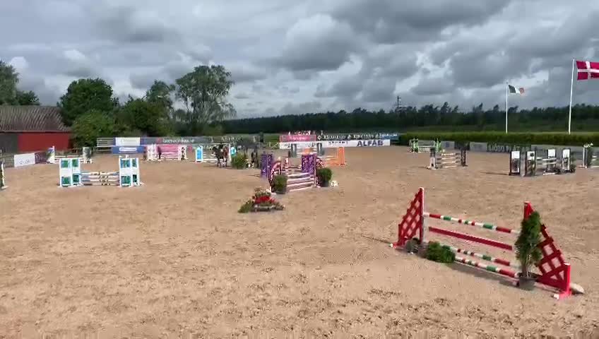 Hoppning hästar till salu: Sto med kapacitet  - Video 1