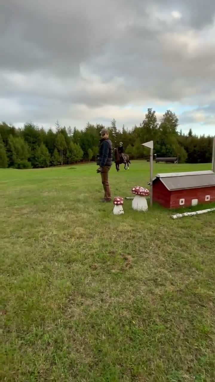 Allround hästar till salu: Allround mot hoppning i Björköby - Video 1