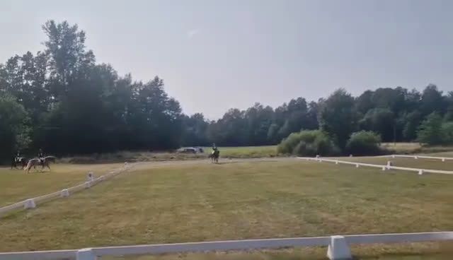 Hoppning hästar till salu: Het hopponny i Åkers Styckebruk - Video 4