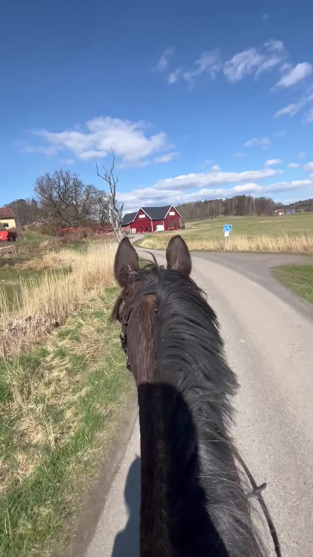  stallplats finnes: Lösdriftsplats för två valacker i Lindome - Video 1