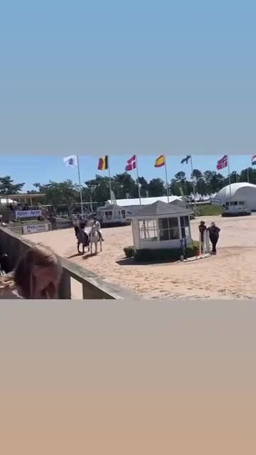 Allround hästar till salu: Ovanlig ras! Töltande med mycket ovanlig färg  - Video 1