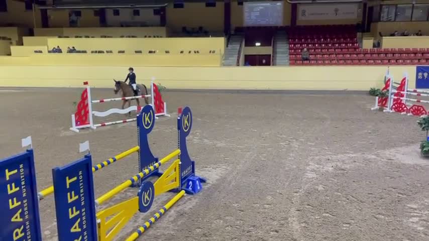 Avelshästar hästar till salu: Superfint avelssto med bra stam  - Video 3