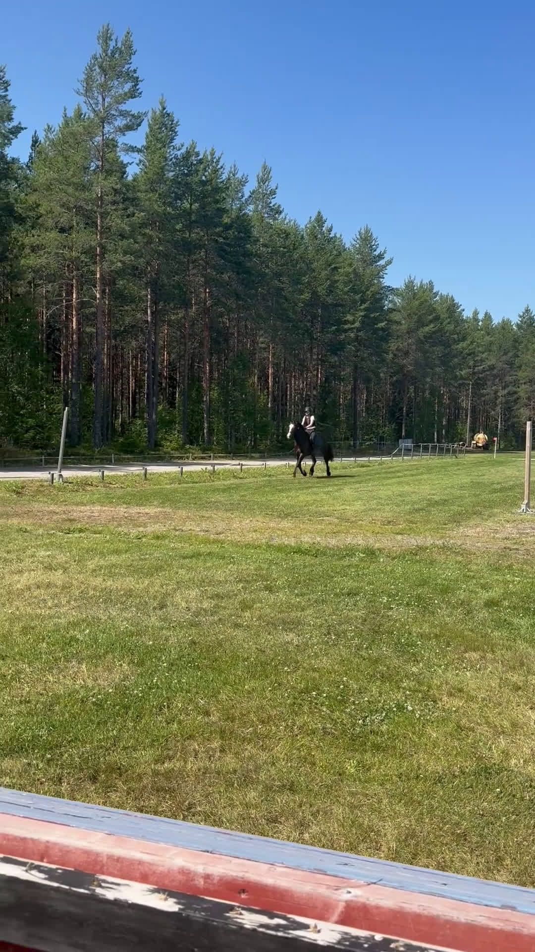 Allround hästar till salu: Snygga Bläsen - hoppar villigt! - Video 4