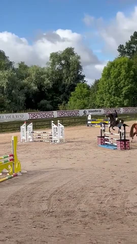 Allround hästar till salu: Härligt sto för hoppning eller fälttävlan 🌟 i Eslöv - Video 2