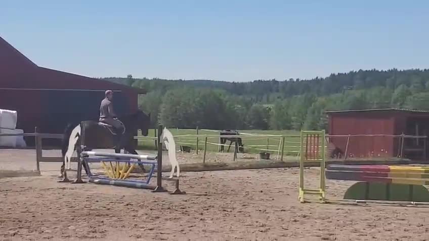 Allround hästar till salu: Allround Kille - Video 2