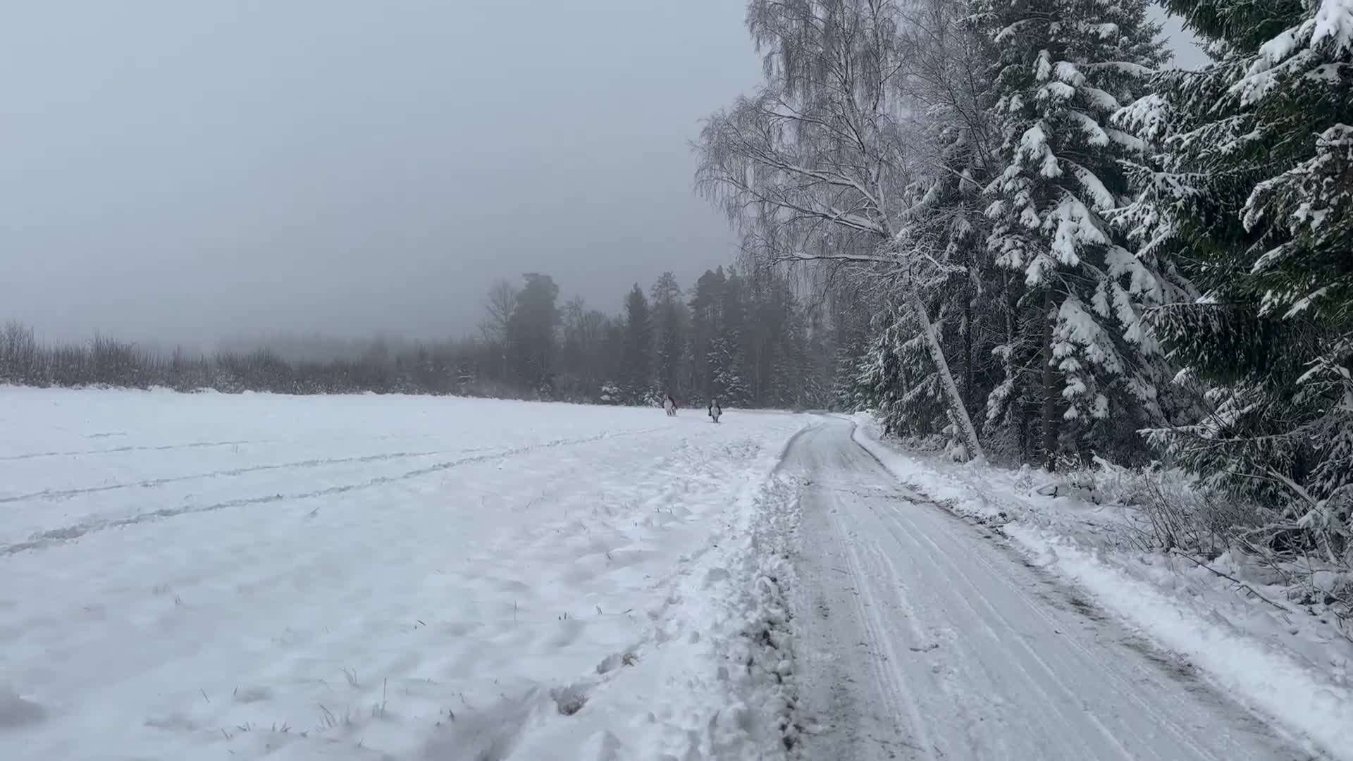 Allround hästar till salu: Supersöt B-ponny till verksamhet/tävling - Video 1