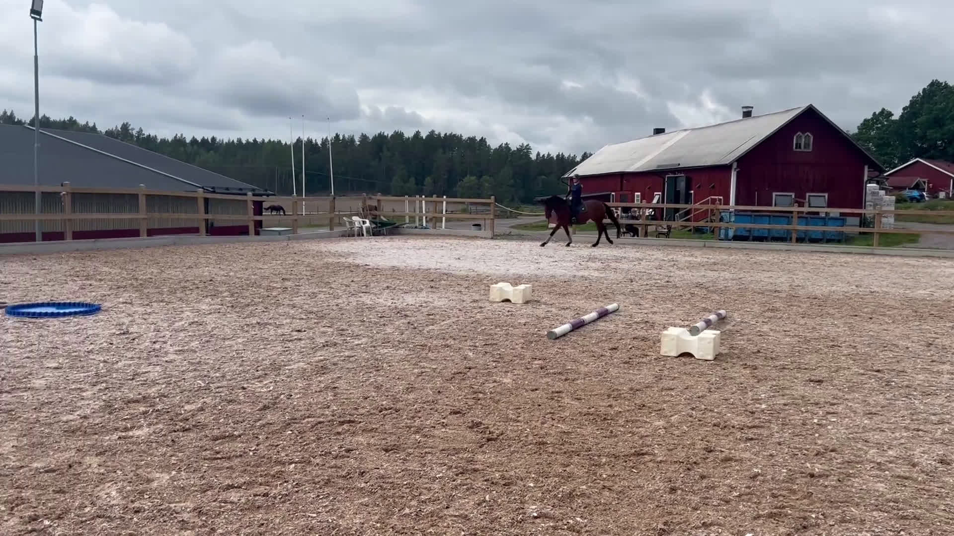 Dressyr hästar till salu: För dig som söker en bästa vän! i Norrköping - Video 4