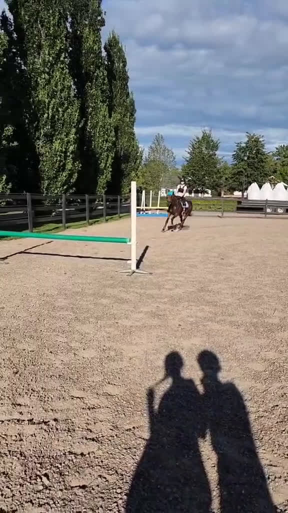 Allround hästar till salu: Fin ridtravare i Axvall - Video 1