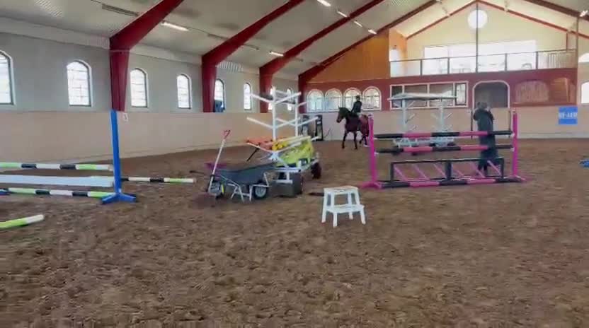 Hoppning hästar till salu: Supertalang för stora klasser i framtiden!  - Video 1