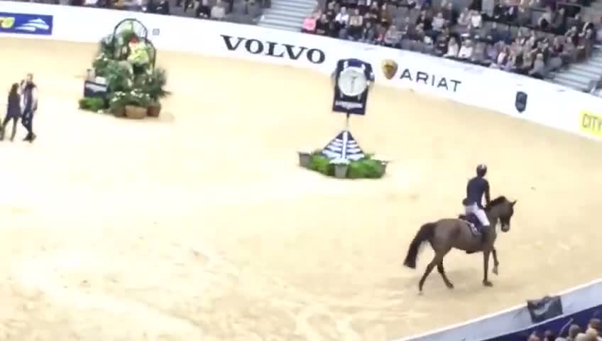 Avelshästar hästar till salu: 5*160 avelssto! - Video 1
