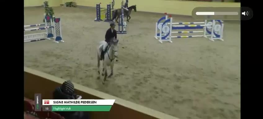 Hoppning hästar till salu: Fantastisk hest med godt mind set - Video 2