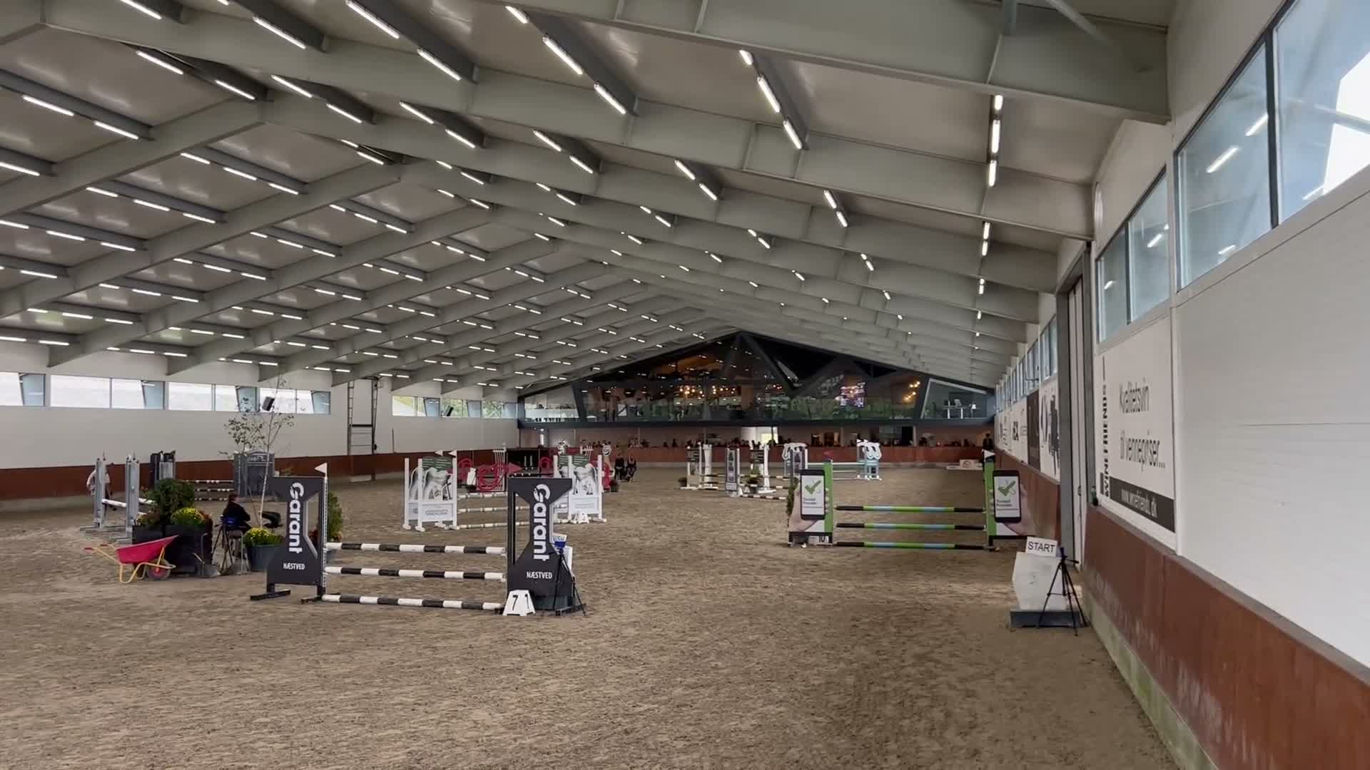 Hoppning hästar till salu: Fantastisk springpony  i Kastrup - Video 2