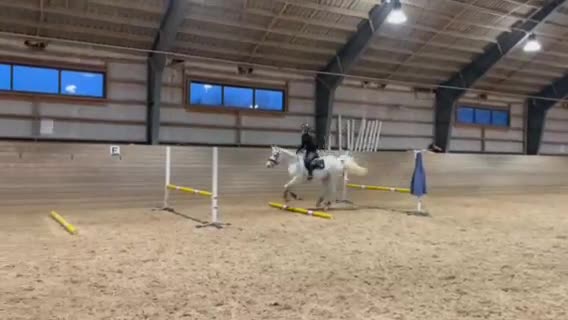 Allround hästar till salu: Supersnäll ponny - Video 2