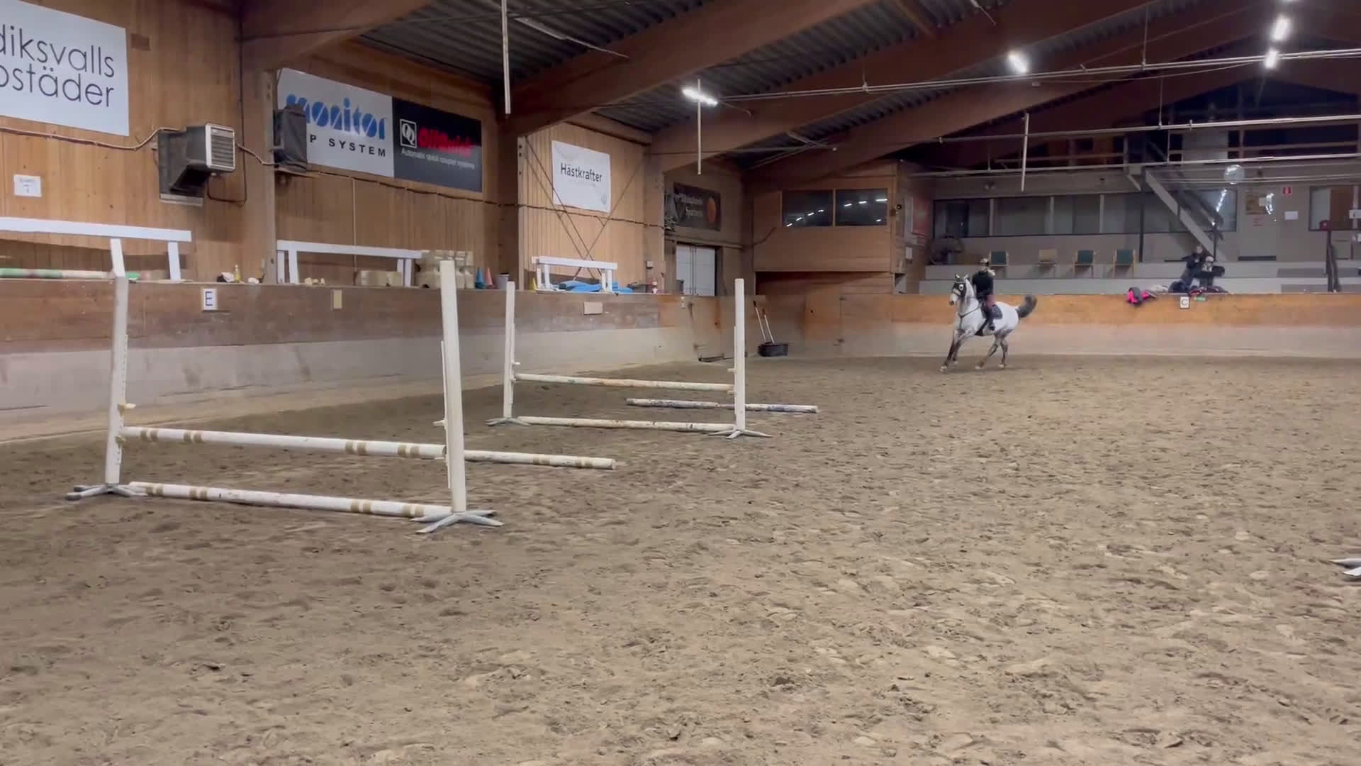 Hoppning hästar till salu: Rolig tävlingskompis i Hudiksvall - Video 3