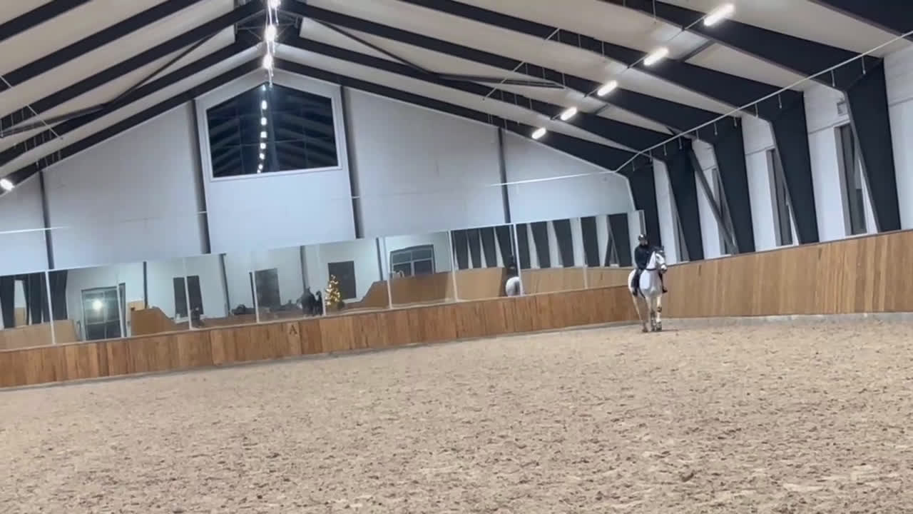 Allround hästar till salu: Fin & mysig bästa vän att träna och utvecklas med - Video 2