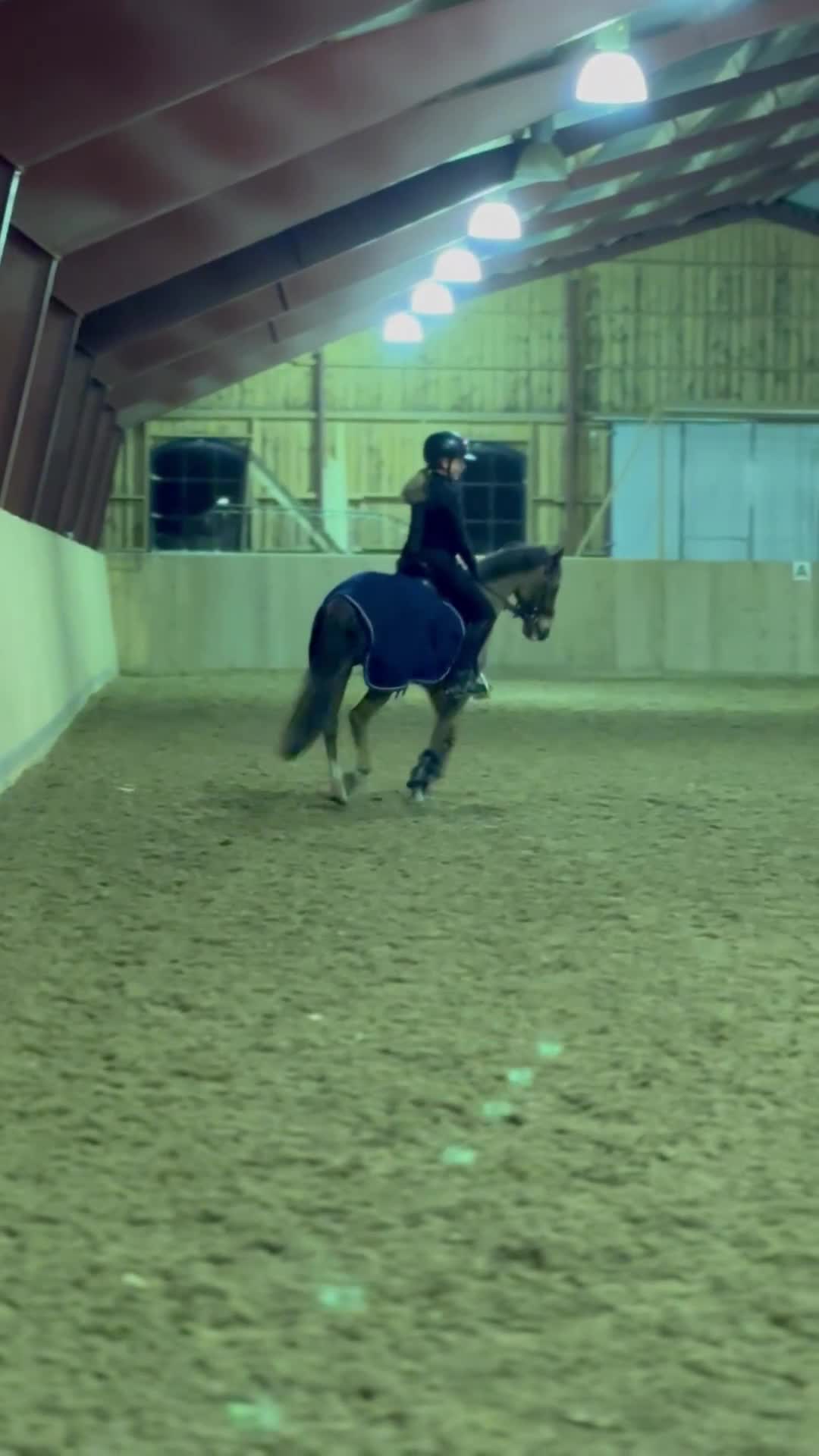 Dressyr hästar till salu: En läromästare med stort ❤️ - Video 3