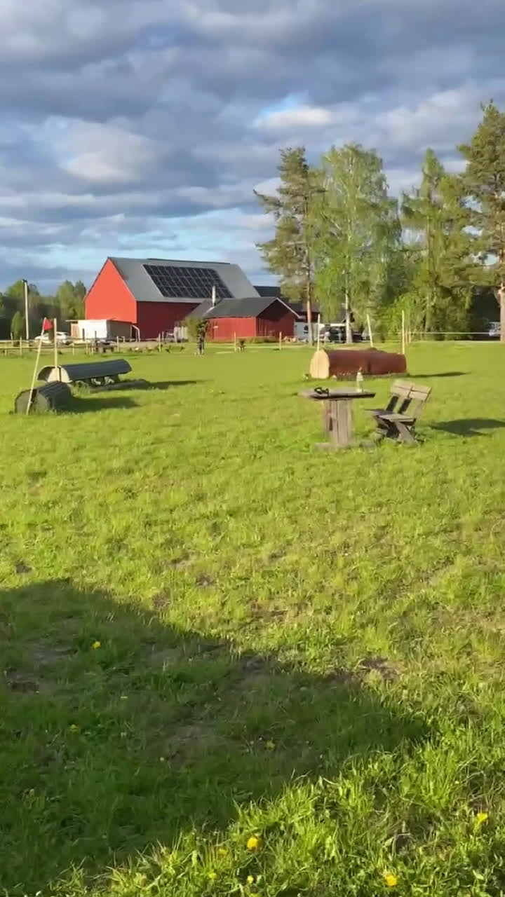 Avelshästar hästar till salu: Lovande ponny för framtiden  - Video 1