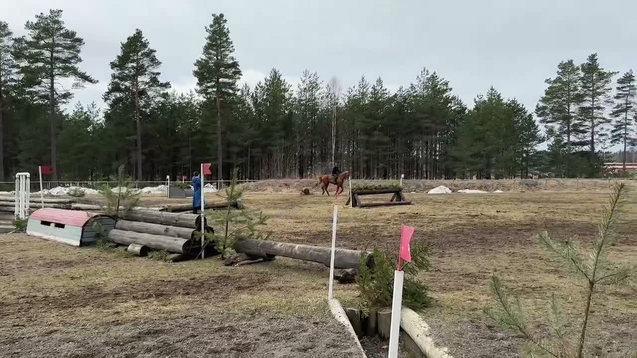  hästjobb finnes: Hästjobb sökes i Saltsjö-boo - Video 3