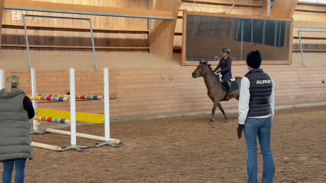 Hoppning hästar till salu: Fantastisk D ponny  i Stockholm - Video 2