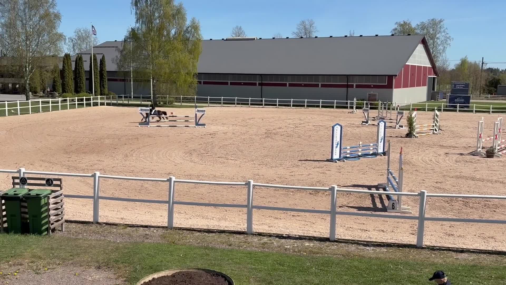 Hoppning hästar till salu: B-ponny med kapacitet  - Video 3