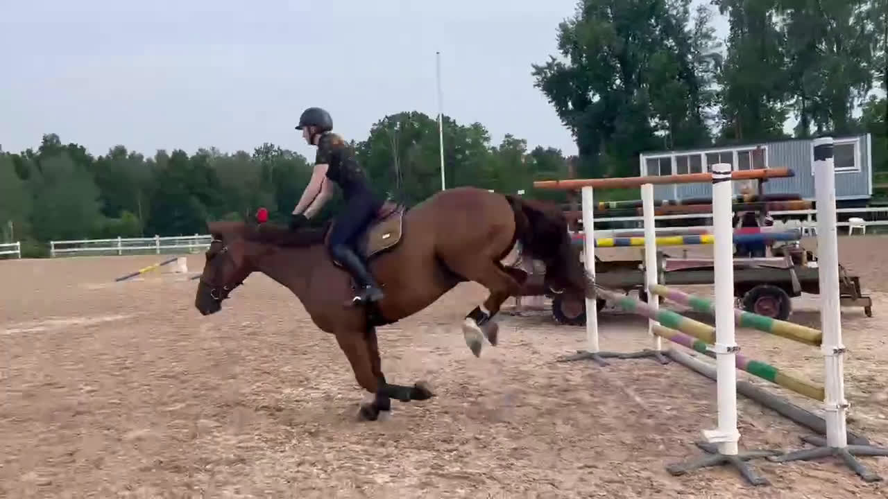 Allround hästar till salu: Snällaste hästen i Småland!  i Väckelsång - Video 2