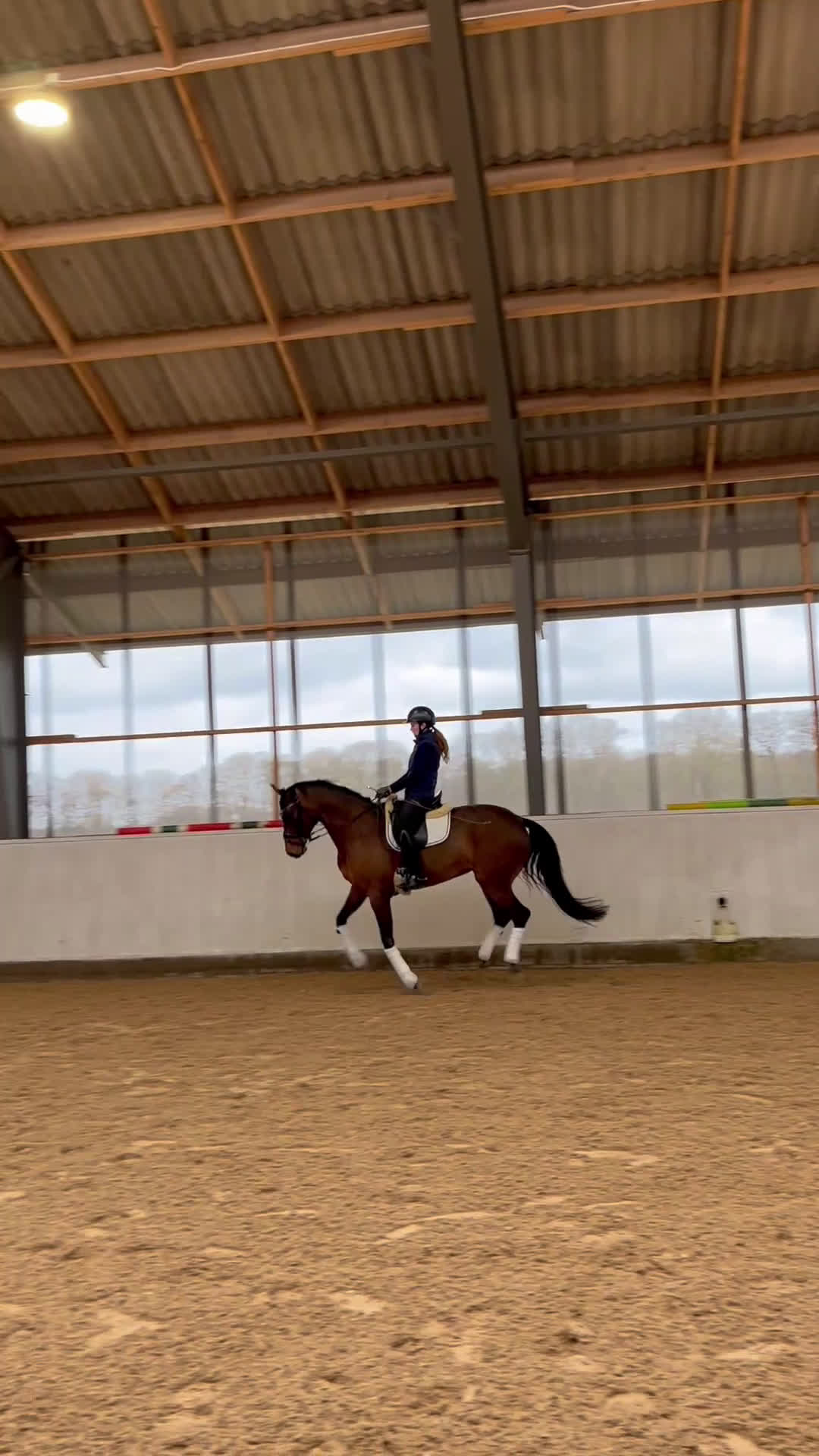 Dressyr hästar till salu: Lovande dressyrsto i Flyinge - Video 3