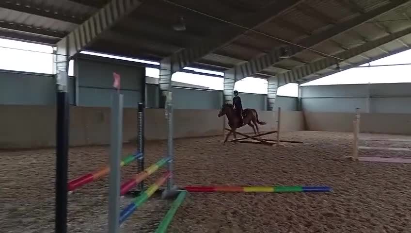 Hoppning hästar till salu: Sto med potential - Video 1