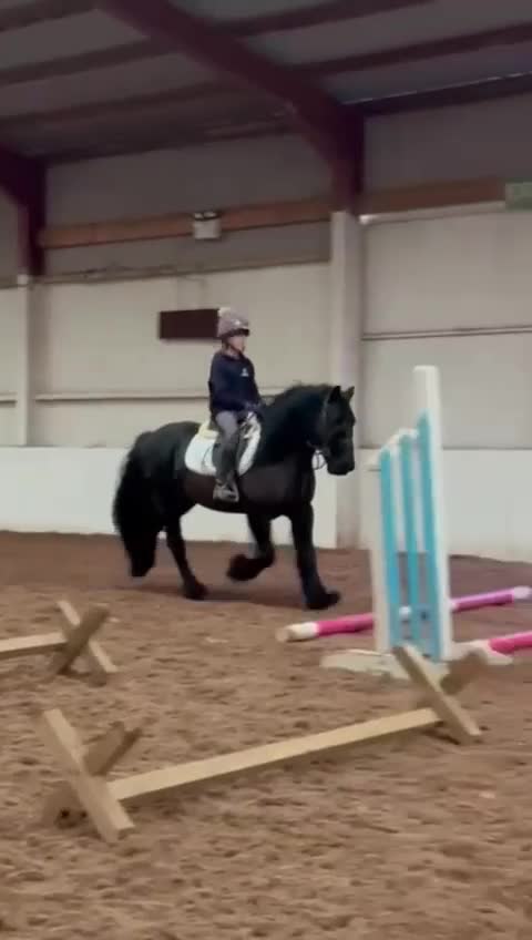 Allround hästar till salu: Otroligt vacker och trygg Fellponny! 🩵 - Video 3