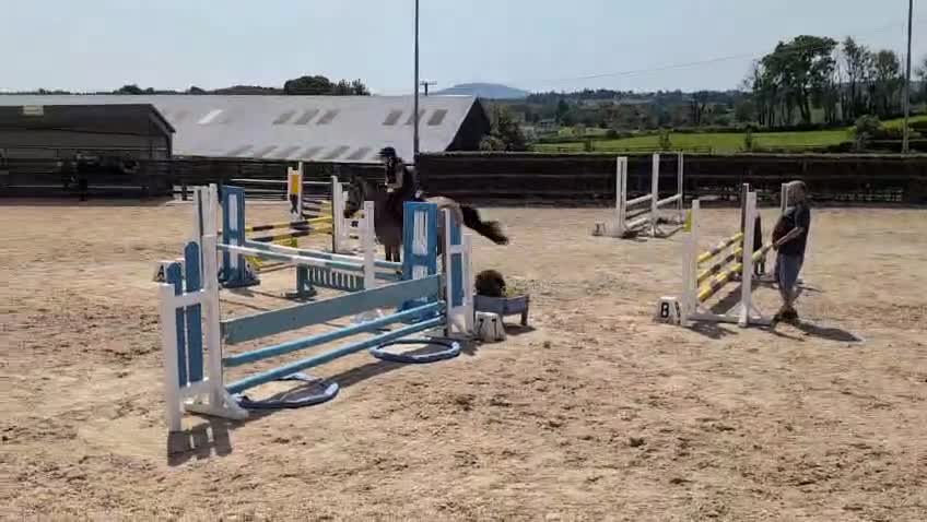Hoppning hästar till salu: 5 årigt d-ponny sto  i Ödsmål - Video 5