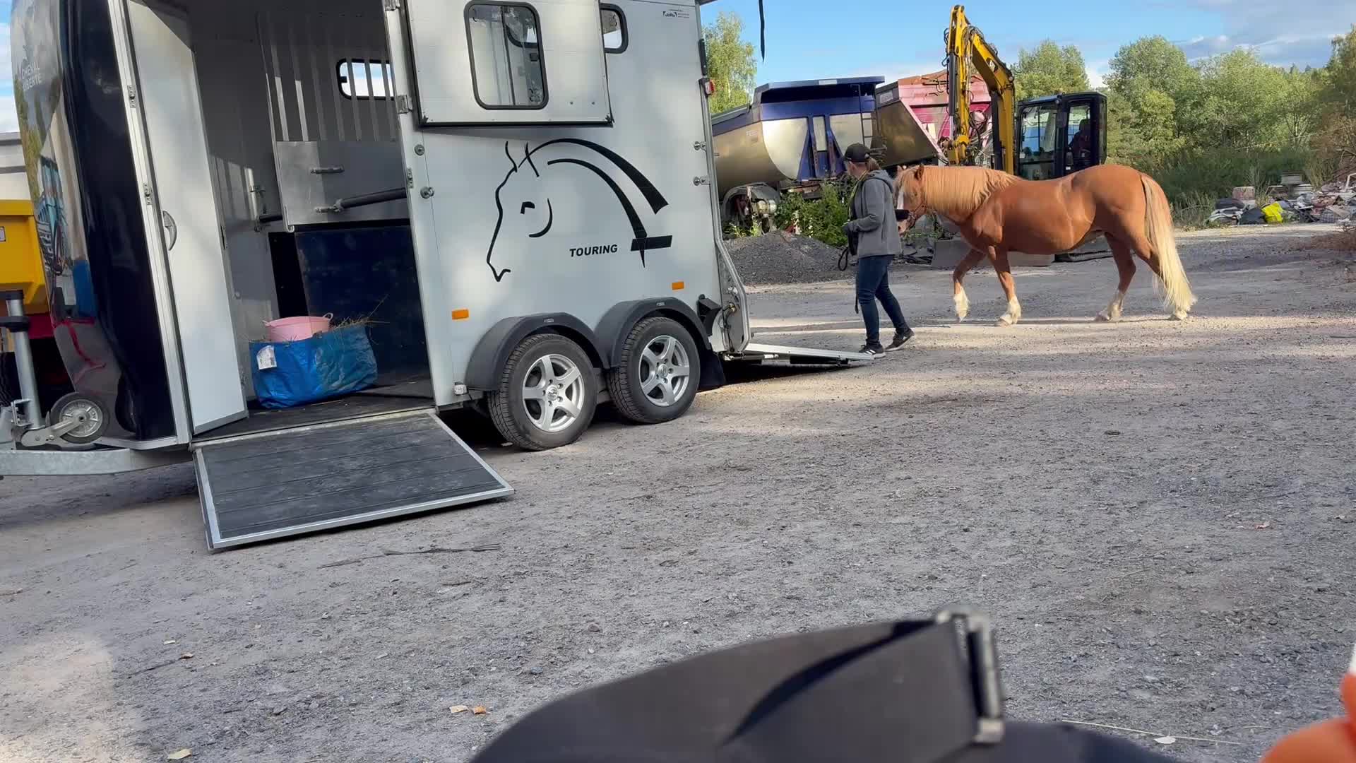 Hoppning hästar till salu: C-ponny till hoppning  - Video 1