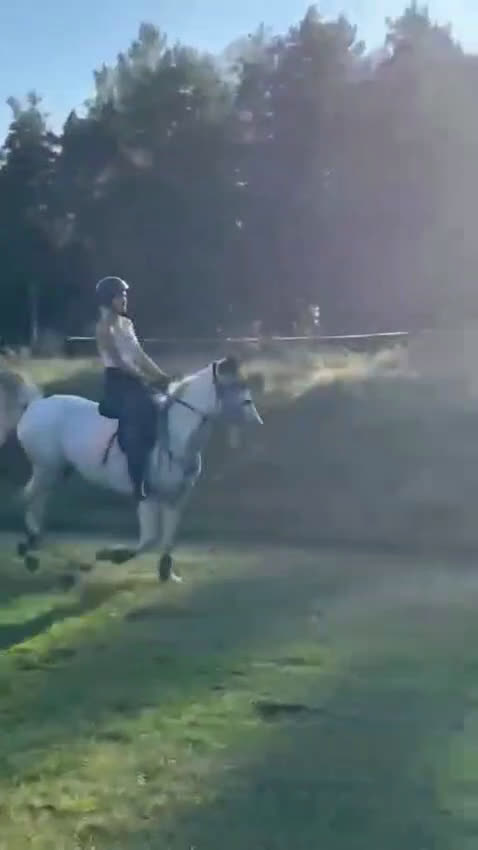 Allround hästar till salu: Super fin allround häst  i Västerås - Video 2