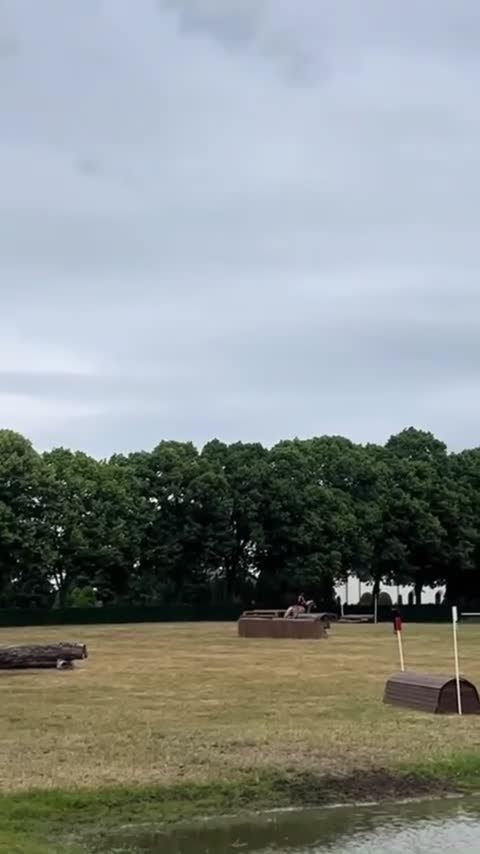 Allround hästar till salu: Gotlandsruss söker sitt nästa äventyr i Eslöv - Video 4