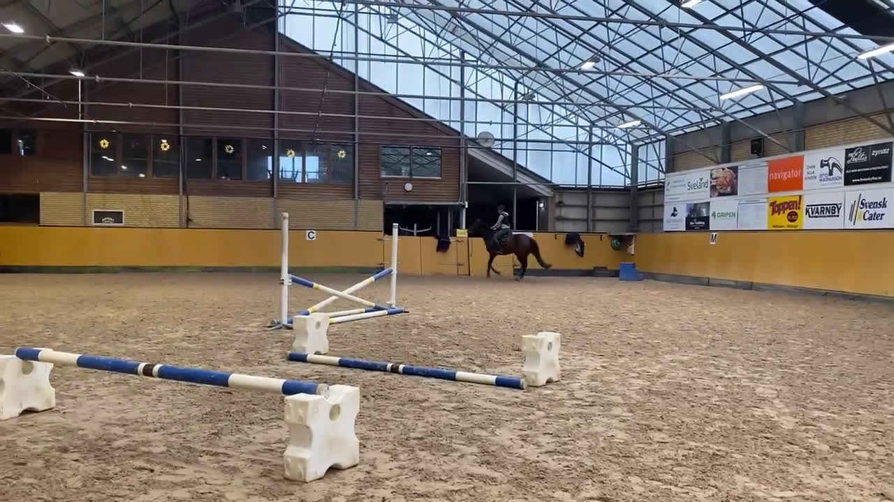 Hoppning hästar till salu: Positivt och vackert sto i Höllviken - Video 3