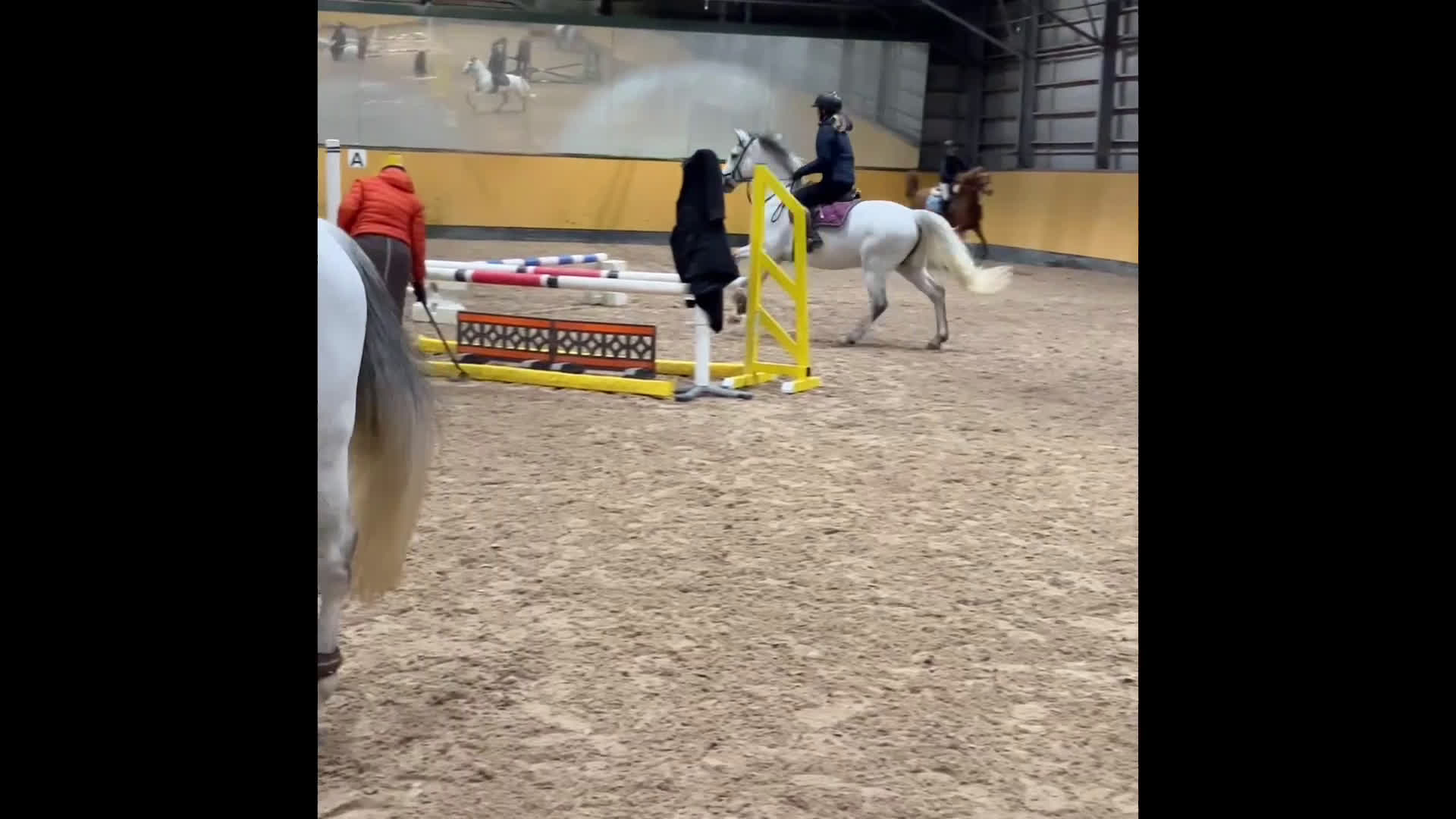 Allround hästar till salu: 🌟 Underbar D-ponny till salu – 12 år, valack,  🌟 i Höllviken - Video 5