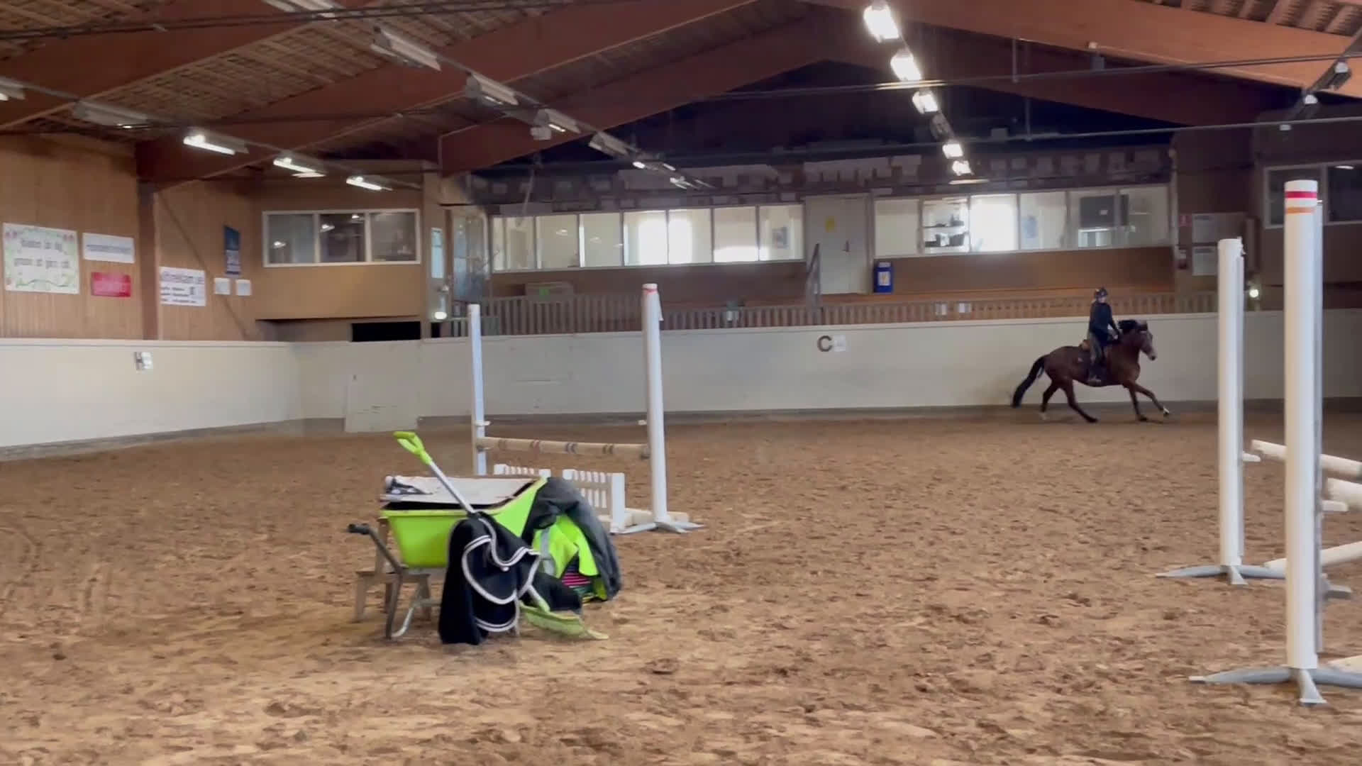 Hoppning hästar till salu: Positiv och uttrycksfull tjej i Dala-järna - Video 3