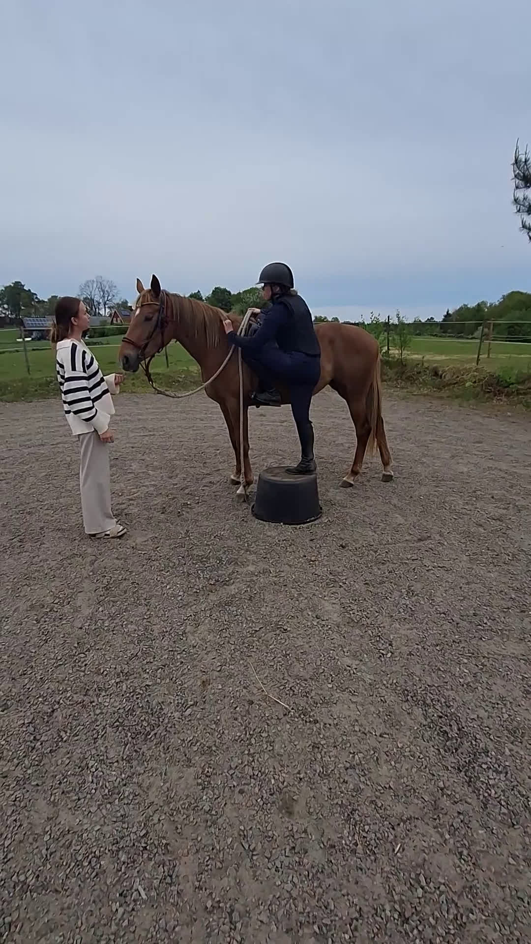  hästservice finnes: inridning & utbildning i Simlångsdalen - Video 2